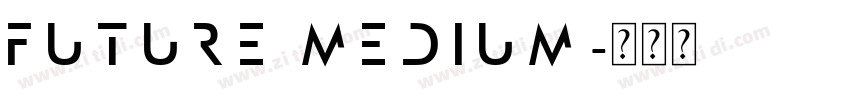 Future Medium字体转换